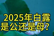 “公白露丢，母白露收”，2025年白露是公还是母？庄稼收成好不？