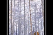 如何在iphone上对雪景照片进行p图？