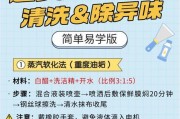 湖州品质油烟机清洗方法大揭秘（从根源清除油烟困扰，让生活更加清新）