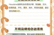 法诺斯油烟机清洗方法大揭秘（专业技巧助您轻松解决油烟机清洗难题）