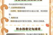 热水器没水引发的故障及应对方法（探讨热水器没有水源时可能出现的问题以及解决方案）