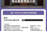 纽曼b55音响的音质和性能如何？用户反馈怎么样？