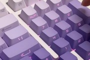 紫色透明键盘是什么品牌？有哪些特点？