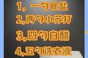 家用电动洗衣机清洗方法大全
