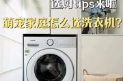 宠物主人如何选择合适的洗衣机？养宠洗衣机推荐有哪些？