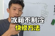 冰箱不制冷的原因及维修方法（掌握冰箱维修技巧）