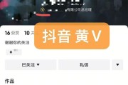 抖音“黄V”功能介绍（了解抖音黄V认证及其功能）