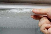 冰柜调整技巧有哪些？解决冰柜结冰问题的关键技巧与方法