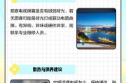 电视屏幕黑屏的原因和解决办法（如何应对电视屏幕黑屏问题）