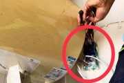 如何清洗海尔热水器（居家清洗方法大揭秘）