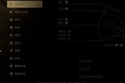 电脑低配置显卡设置方法是什么？