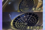 如何清洗油烟机油胶（简单易行的清洁方法及技巧）