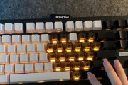 美洲狮键盘与哪些键盘相似？它们的特点是什么？