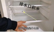 冰箱排水孔堵塞的原因与解决方法（冰箱排水孔堵塞的危害及如何进行日常维护）