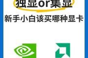 如何选择合适的独立显卡？GPU选择指南是什么？