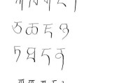 手机软件如何设置藏文名字？操作步骤是什么？