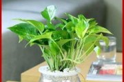 电脑桌两边摆设怎么摆？摆设的风水和美观建议是什么？