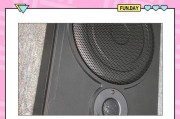 外国狗子低音炮的正确名称是什么？