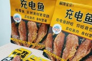 鱼用的充电器怎么用？正确使用和维护方法是什么？