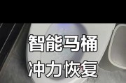 如何解决法恩莎马桶冲水无力问题（快速解决法恩莎马桶冲水无力的方法和技巧）