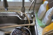 净水器无法去除水垢的原因（水垢成因及对净水器的影响）
