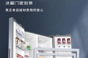 冰箱封条消磁的正确处理方法（保障食品安全）