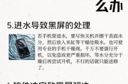 手机黑屏怎么办（教你解决手机黑屏的几种方法）