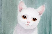 女孩猫手机壳设计灵感来源？画出独特图案的技巧是什么？