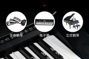 键盘琴是什么乐器类型？键盘琴与传统钢琴有何不同？