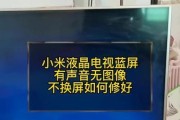 长虹电视花屏问题的原因及解决办法（长虹电视花屏问题的常见原因及简单解决方法）