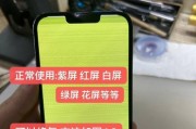 如何解决显示器绿屏问题（常见绿屏问题及解决方法）