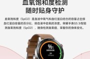 海里玩时佩戴哪种智能手表最合适？选择标准是什么？