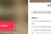 王者如何投屏到电脑抖音直播？操作步骤是怎样的？