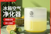 活性炭除冰箱异味有效吗？如何正确使用活性炭去除异味？