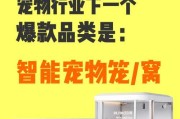 狗笼安装摄像头的方法是什么？操作中应注意什么？