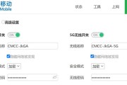 路由器电话设置步骤是什么？调试过程中常见问题如何解决？