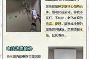 电热水器灯亮水却不热的原因及解决方法（常见故障和维修技巧，保证您的热水器正常工作）