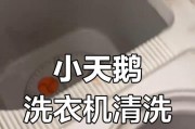 如何修理双缸洗衣机漏水问题（解决双缸洗衣机漏水的有效方法）