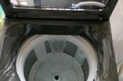小天鹅波轮洗衣机排水故障解决方法（排水问题困扰）