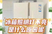 冰箱突然失灵，一片漆黑的冰箱角落（冰箱故障、灯光熄灭、修复方法）