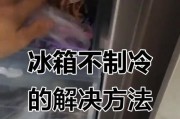 冰箱除霜后不制冷怎么办（解决您的冷藏困惑）