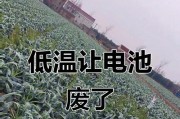 电池在低温下为何容易自燃？如何预防这种情况？