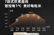 电饭煲效率变低的原因及解决方法（保养和调试是关键）