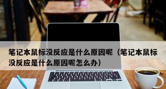 电脑无线鼠标不工作怎么办（解决电脑无线鼠标失灵的实用方法）