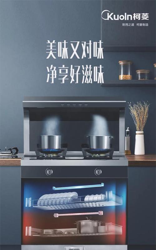 集成灶与分体灶（探讨集成灶和分体灶的优劣势）
