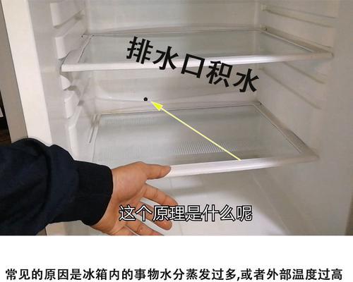 冰箱排水孔堵塞的原因与解决方法（冰箱排水孔堵塞的危害及如何进行日常维护）