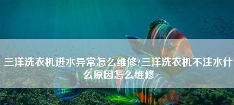 格兰仕洗衣机排水不止怎么处理？常见原因及解决方法是什么？