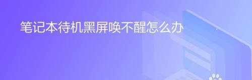显示器黑屏无法显示？快速诊断与解决方法指南
