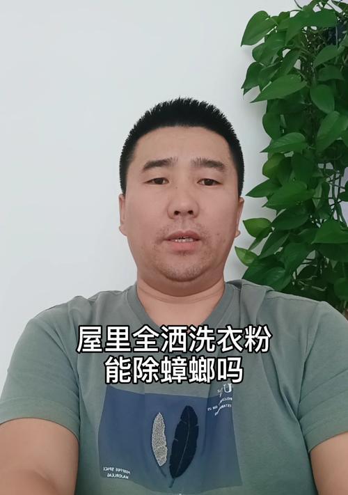 洗衣机发现蟑螂如何处理？有效驱除方法是什么？
