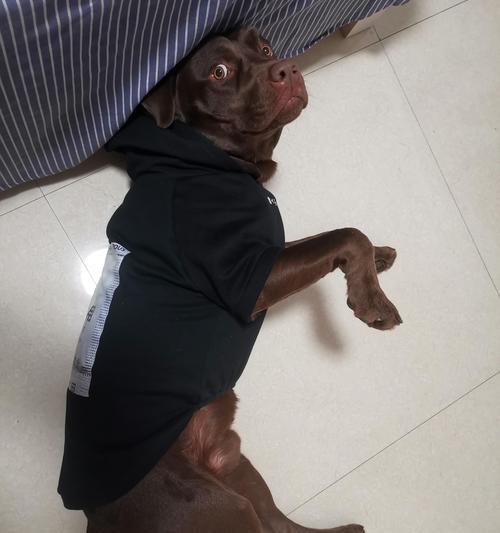 洗澡时不能用手机拍照怎么办？
